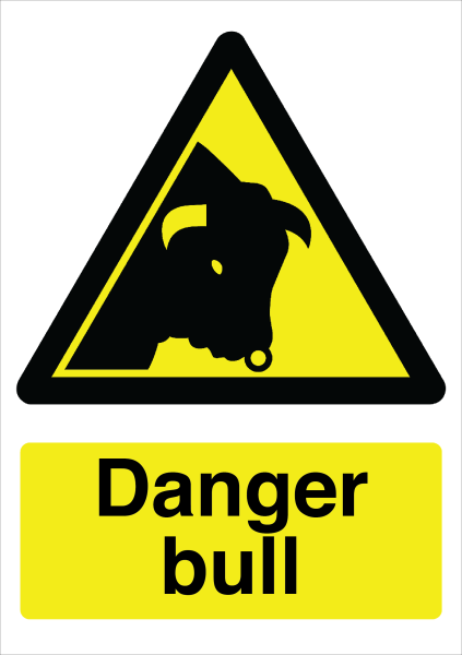 Danger_Bull - design template - 1212